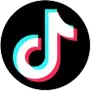 Tiktok Video Downloader